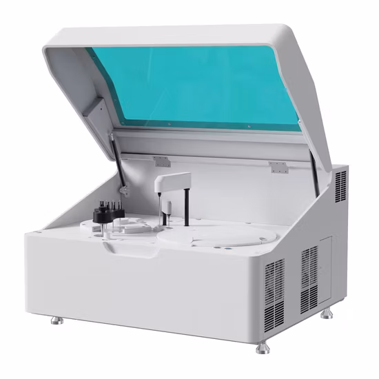 BT